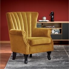 TITAN mustard armchair