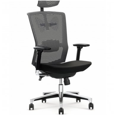 AMBASADOR ergonomic guide office chair on wheels